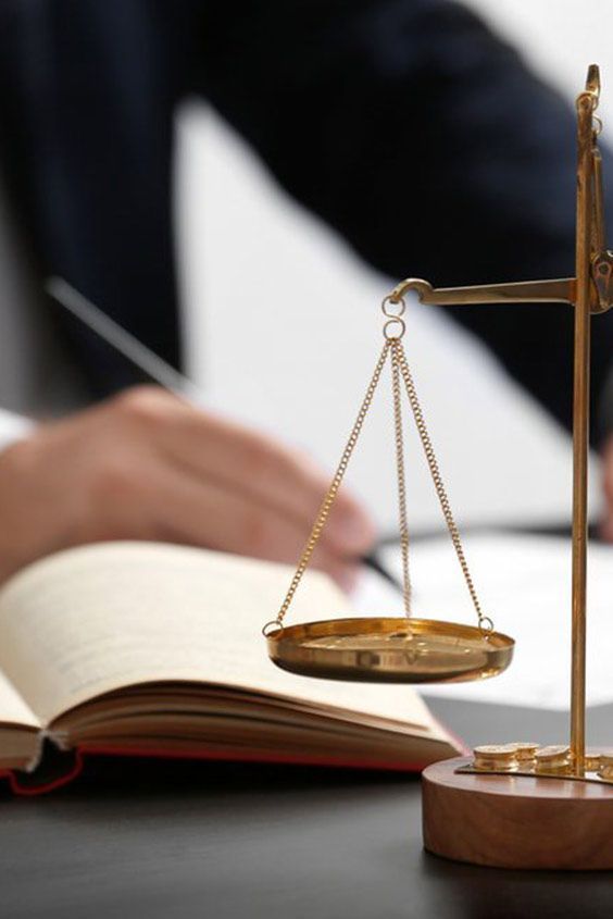 Historia del estudio